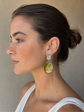 Brown Oval Shell Drop Earrings - Women Jewelry